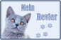 Preview: Tierschild aus Dibond mit grauer Katze, Katzenspur und Text Mein Revier